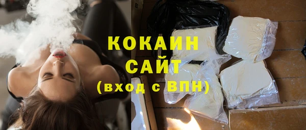 ешки Алексин