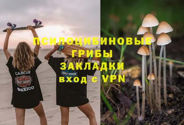 крисы Алзамай