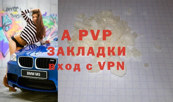 ешки Алексин