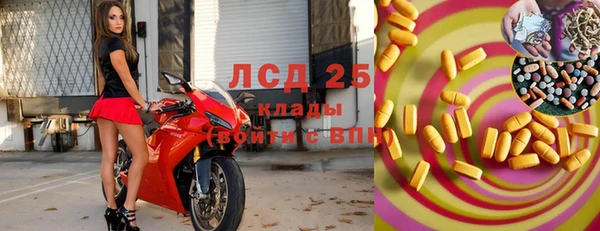 крисы Алзамай