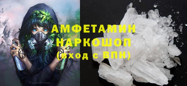 ешки Алексин